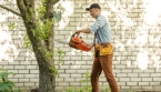 Un arbre devant votre maison ne vous appartient pas : pouvez-vous le couper légalement ?