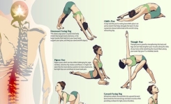 Réalisez 5 poses de yoga qui vont soulager votre dos et apaiser vos douleurs !