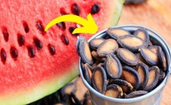 Doit-on vraiment enlever les pépins de pastèque avant de la manger ? Ce que dit la science