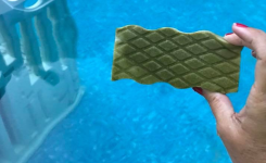 Cette grand-mère a nettoyé sa piscine verte et visqueuse en 24 heures avec un objet du quotidien