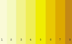 Les couleurs des urines et leurs significations
