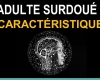Comment reconnaître un adulte surdoué ou HP (haut potentiel) ?