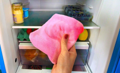 Pourquoi faut-il mettre les chiffons au réfrigérateur ? 
