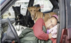 La femme a préféré vivre dans la voiture pour ne pas quitter ses chiens adorables