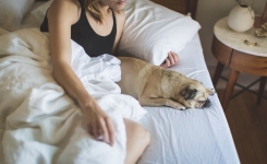 Pourquoi votre chien veut dormir dans votre lit : ce que cela signifie vraiment