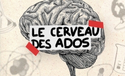 Jusqu’à quel âge le cerveau de l’adolescent est-il en construction ?