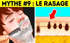 13 idées reçues sur le corps humain… et la vérité derrière !