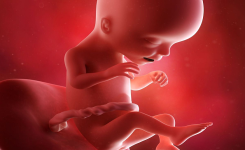 8 choses méconnues que fait bébé dans le ventre