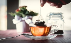 Les sachets de thé en plastique libèrent des milliards de particules microplastiques dans vos tasses…
