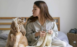Les personnes qui considèrent leur animal comme leur enfant ont souvent ces 5 points en commun