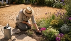 5 plantes qui résistent à la sécheresse pour votre jardin