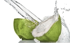 Voici ce qui arrive à votre corps quand vous buvez de l'eau de coco