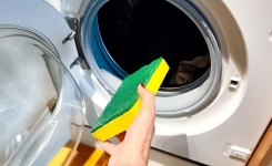 L'astuce de l'éponge : une méthode méconnue pour conserver la machine à laver comme neuve