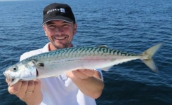 Un poisson meilleur que le saumon (et deux fois moins cher)