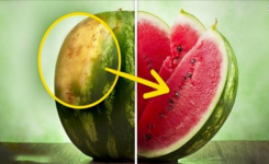5 astuces pour choisir un melon d'eau parfait à tous les coups!