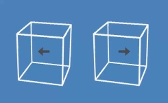 Ces deux cubes qui ont l’air de bouger sont totalement immobiles !