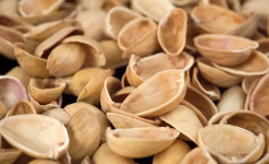 Coquilles de pistaches : 5 utilisations simples et utiles que beaucoup ignorent