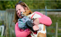 Conseil du vétérinaire : Pourquoi vous devriez éviter de laisser votre chien vous lécher le visage