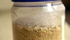 L’astuce efficace pour se débarrasser des mites alimentaires