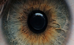 Ce que la couleur de vos yeux révèle sur votre personnalité