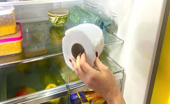 Mettez votre rouleau de papier toilette dans un réfrigérateur et voyez le résultat