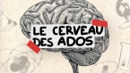🧠 Jusqu’à quel âge le cerveau de l’adolescent est-il en construction ?