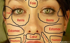 La carte chinoise du visage révèle quelle partie de votre corps est malade et comment vous soigner