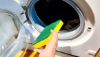 L'astuce de l'éponge : une méthode méconnue pour conserver la machine à laver comme neuve