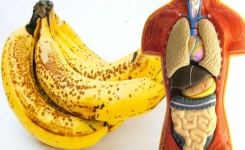 Voici le régime banane : un moyen sain de perdre 1,5 kilos en 3 jours