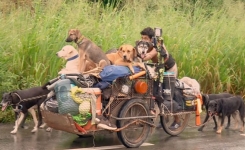 Cet homme fait le tour du Mexique pour sauver les chiens blessés ou malades