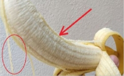 Les secrets des fils blancs qui existent dans la banane, ils ont une fonction importante et peuvent être utiles !!