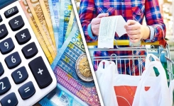 Comment Faire les Courses avec un Budget de 300 Euros par Mois ?