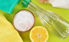 Nettoyer votre maison de manière naturelle : des solutions tout usage pour un nettoyage efficace et écologique