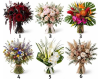 Votre bouquet préféré en dit-il long sur votre personnalité ?