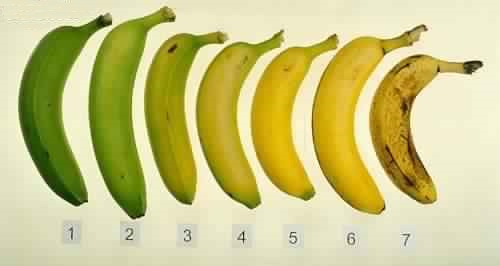 Quel est le meilleur moment pour manger une banane ?