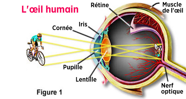 4 Habitudes dangereuses pour les yeux et la vue mais que vous faites tous les jours