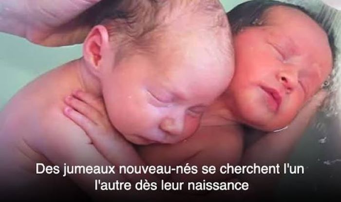 Des jumeaux nouveau-nés s’accrochent l’un à l’autre comme s’ils étaient encore dans le ventre de leur mère