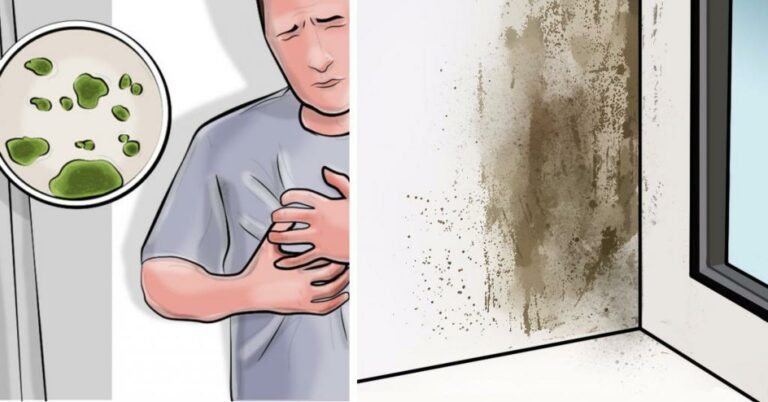 10 signes que vous souffrez des effets de la moisissure, et ce que vous devriez savoir