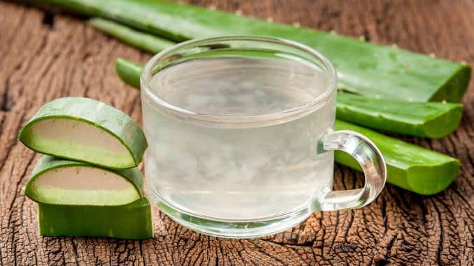 5 façons dont l’aloe vera peut soutenir votre santé cardiovasculaire ?