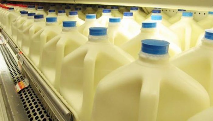 Pourquoi le lait de vache est si mauvais pour la santé ?