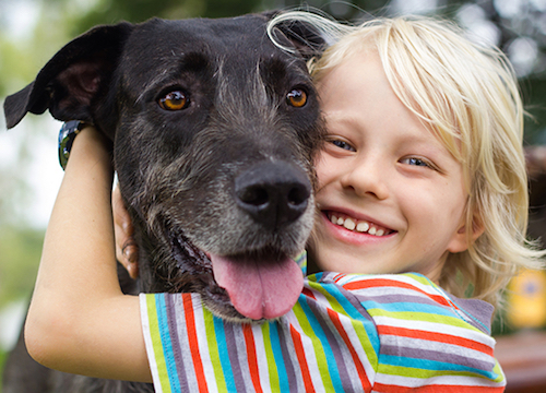 Avoir un chien réduit le stress chez l’enfant, voici pourquoi
