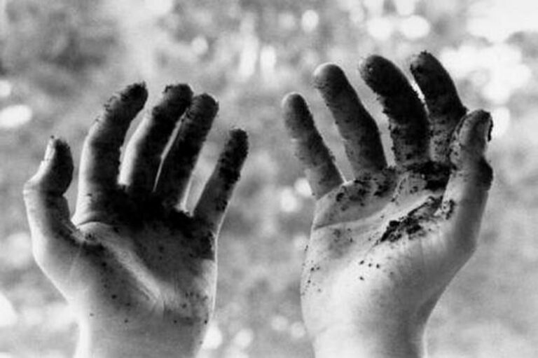 Mettre les mains dans la terre rend heureux et intelligent…