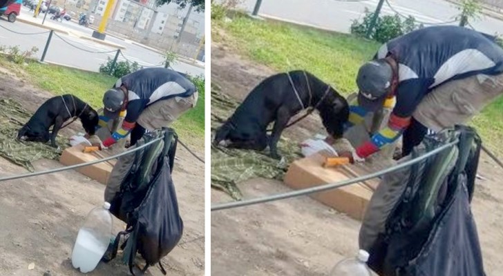 Un sans-abri s’occupe d’un chien handicapé : il le nourrit et le considère comme « son bébé »