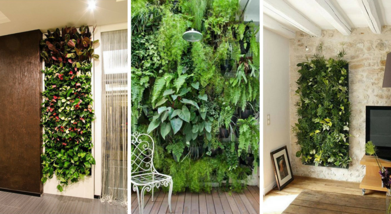 Le mur végétal : la tendance écolo déco qui prend du jalon !