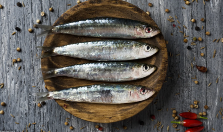 ? Pourquoi la sardine mérite sa place dans notre assiette