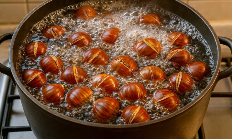 Châtaignes bouillies : la recette simple, rapide et savoureuse pour réussir leur cuisson à tous les coups