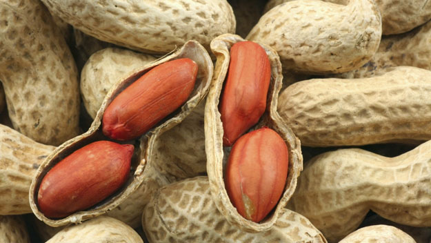 Pourquoi manger des cacahuètes est si bénéfique pour l’organisme