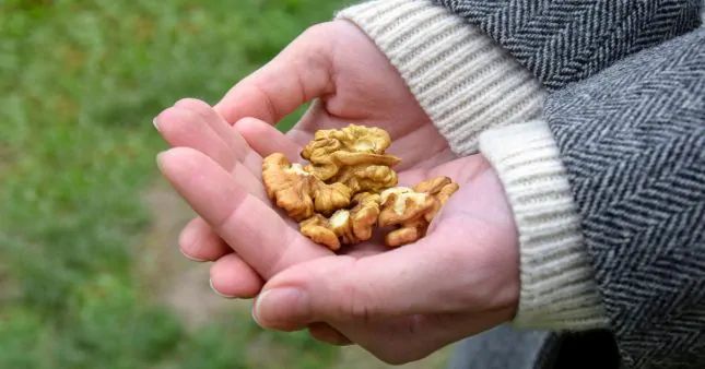 Pourquoi intégrer des noix dans votre alimentation ?