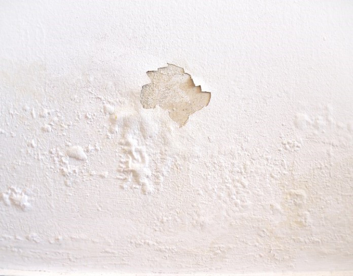 Comment réparer des murs moisis ou écaillés rapidement