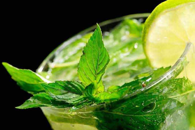 Sirop de menthe maison : la recette fraîche et facile de l’été